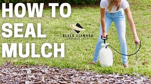 Watch How to Lock Your Mulch in Place - DOMINATOR Mulch Anchor on Amazon Live