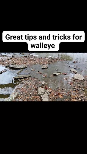1.6K views | Good walleye tips and tricks! Stuff to look for! #walleye #growth | Darik Wolf | Facebook