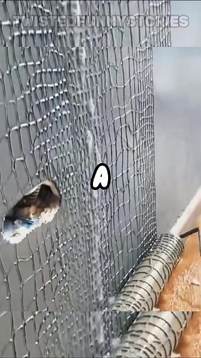 170K views · 1.8K reactions | Poor crocs was killed by accident! #funny #jokes #reelsfbシ | Twisted Funny Stories | Facebook