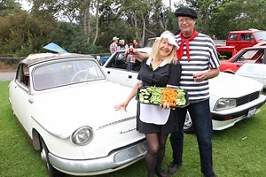 Just Cool Cars: 1961 Panhard Tigre