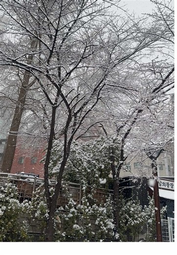 🥶❄️🌨️#fypシ #pmikorea🇮🇩♡🇰🇷 #snowyday #firstsnow