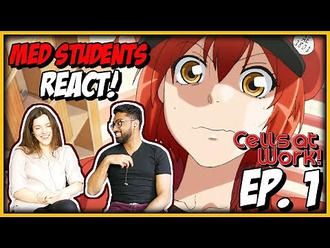 MED STUDENTS REACT TO CELLS AT WORK! EPISODE 1 REACTION