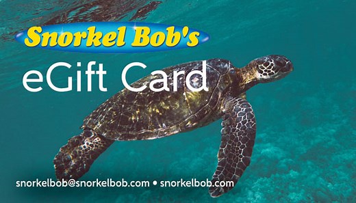 Oahu Snorkeling & Boat Trips | Snorkel Bob's