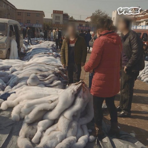 708K views · 180 reactions | One mink coat can use up to 20 or 30 pelts. Inside China's lucrative fur industry: https://vice.video/2FXLS4a | VICE Video | Facebook