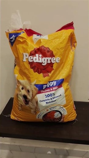 Pedigree Chicken & Milk Puppy Dry Food 20kg Pack Unboxing & Detailed Review #shorts