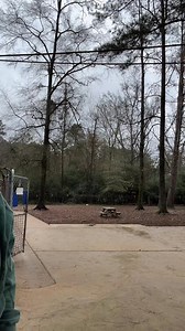 Looking for something rewarding in 2025?!! Come volunteer, foster, donate, or adopt a pup from 4 Paws!!!! | 4 PAWS Rescue, INC.