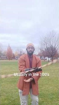 Bo Staff spinning and training ELITE*