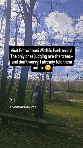 1.7K views · 45 reactions | Visit Potawatomi Wildlife Park today! ✨ The only ones judging are the trees—and don’t worry, I already told them not to.  Fresh air, peaceful trails, and zero drama. Come escape for a bit… it’s basically free therapy (minus the Wi-Fi).  #PotawatomiWildlifePark #NatureTherapy #NoJudgmentZone #FreshAirFeels #GetOutside #visitmarshallcounty #visitindiana | Potawatomi Wildlife Park, Tippecanoe Indiana | Facebook