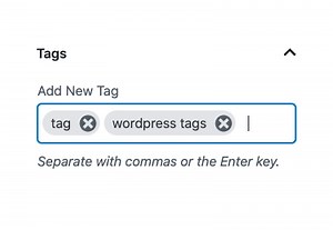 What Are Tags in WordPress? | Envato Tuts