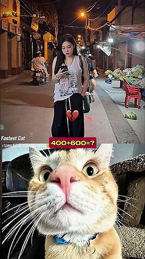 DAY - 6 FUNNY MOMENT AURA 😺#funny #cat #dance