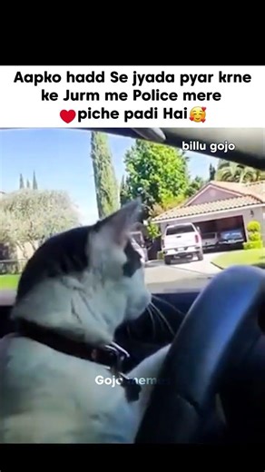 apko hadd se jyada pyaar kerne ke jurm me🤭🥰❤️✨#shorts#cute#tweetreels#memes#fyp#trend#viral#explore