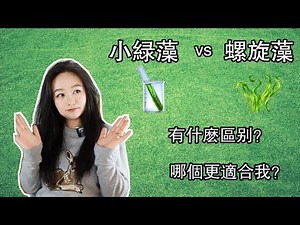 绿藻和螺旋藻的区别有哪些？哪种更适合你？