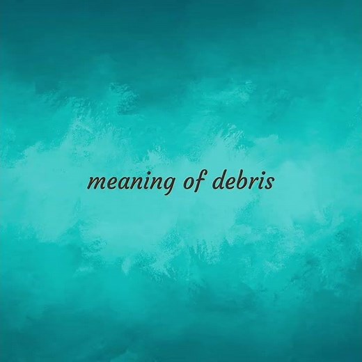 Debris | meaning of Debris