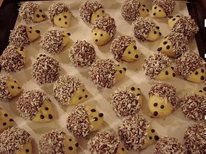 Vánoční cukroví - ořechoví ježci