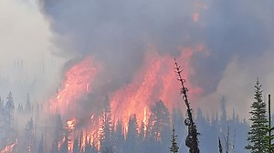 Weasel Fire mapped at 1,180 acres