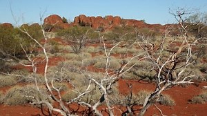 Watch Australia's Wild Places Season 1 Episode 1 - The Red Desert