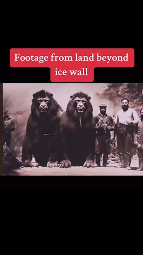 #icewall #antartica #terrainfinita #nightgod333 #breakingnews #live #extraterrestrial #alien #moon #lion #safari #giants #nephlim