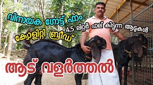 21K views · 435 reactions | contact:+917051004501 | Colour Meen | Facebook