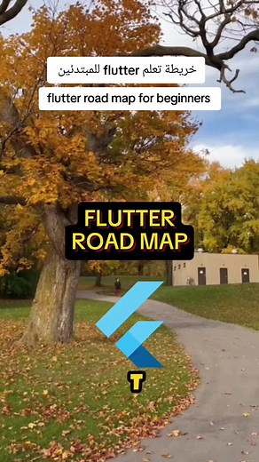 خريطة تعلم فلاتر للمبتدئين: دليل شامل