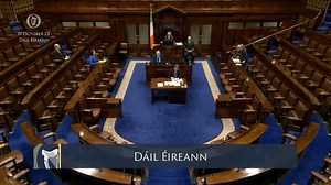 Minister Helen McEntee- speech from 17 Oct Government Business: Statements on the Final Report of the Independent Scoping Exercise into the circumstances surrounding the death of Mr. Shane O'Farrell | VideoParliament Ireland