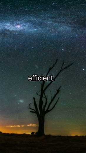 Multitasking Myth: 40% Productivity Loss Exposed