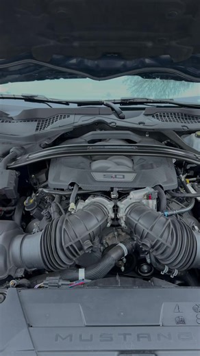 2023 Ford Mustang Dark Horse: A Muscle Car Dream