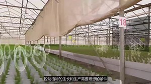 以色列农业技术 Agriculture Technology