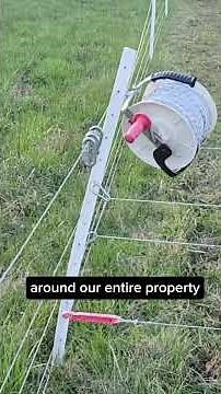 Electric Fence Setup for Cattle & Sheep | Reel + 5 Strand Hi-Tensile
