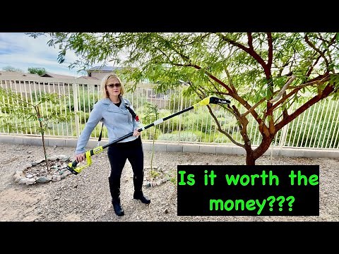 Ryobi +ONE 18V Cordless Pole Saw, worth it???