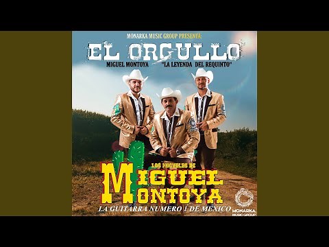 La Feria de las Flores