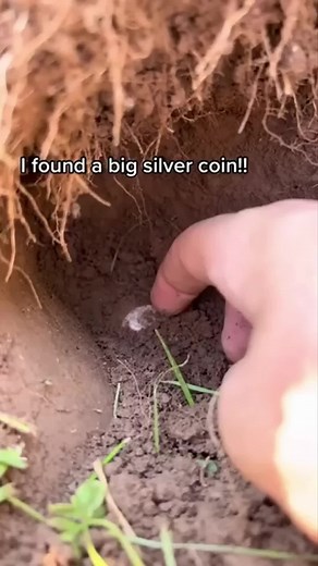 This one coin is a hidden treasure 🔥 Use the best Coin Identifier now