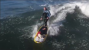 Watch The Uplift: Surfing dog wows on the waves - Full show on CBS