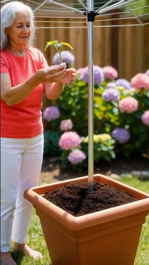 We Tried a Family Garden Project… The Results Shocked Us!