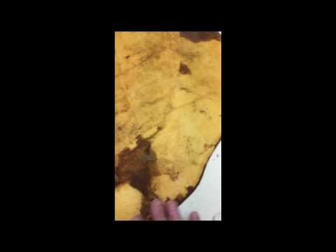 headliner repair C5 (1997-2004) Corvette targa top