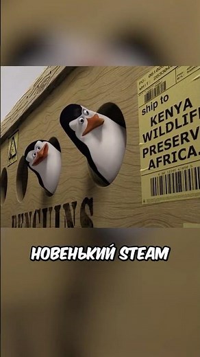 How Steam Support works