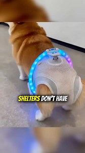 13K reactions · 2.7K shares | ⭐️⭐️⭐️⭐️⭐️ "We have tried disposable...