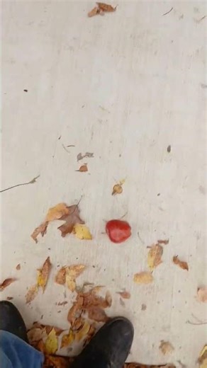 Stomping on random stuff part 3