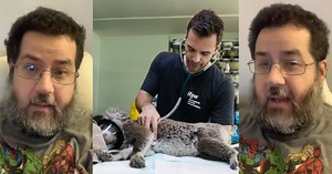 ‘Sometimes Vets rip you off when you’re vulnerable.’ A Former Veterinarian Tech Said Lab Test Costs On Your Bill Are A Scam