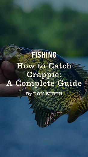 Crappie are one of the most popular gamefish in the U.S.—and for good reason. They’re fun to catch for anglers of any skill level, put up a good fight, and can grow to impressive sizes. If you don’t believe us, just check out these world-record crappie. They are also excellent table fare, and a full limit can provide for a delicious fish fry. Not to mention, these panfish can be caught all over the country. Read the full guide - https://www.fieldandstream.com/fishing/how-to-catch-crappie 🎣 #The