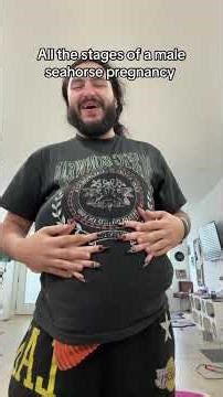 All the stages of a male seahorse pregnancy