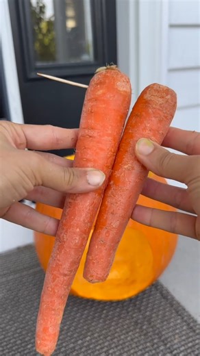 59K views · 505 reactions | funniest pumpkin ever!  learn how to make the viral pregnant pumpkin! #pumpkin #halloween #jackolantern | Brooklyn B | Facebook