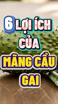 ĂN MÃNG CẦU GAI CÓ TÁC DỤNG GÌ? #mangcau #nhipsongxanh #chamsocsuckhoe #songkhoemoingay #songkhoe