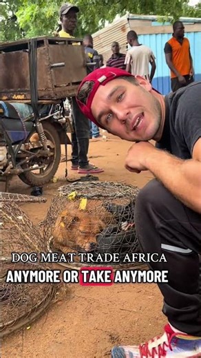 Saving Ghana's Dogs From The Meat Trade #rescueefforts #animals #dogshorts #shorts #reels #dog