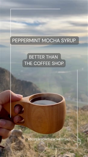Homemade Peppermint Mocha Syrup 🎄☕ Save this for December mornings. Follow for more cozy recipes