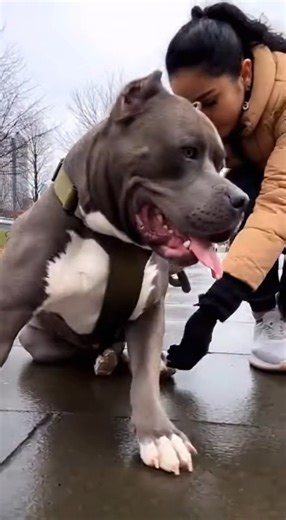 Internet Random on Reels