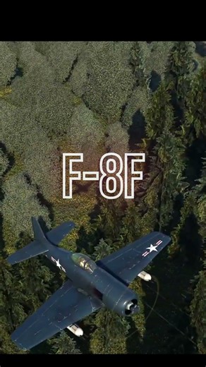 Guess the plane #quiz #warthunder #plane #shadow