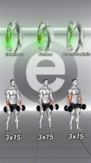 Endomondo on Instagram: " Forearm circuit to hit every angle: ✅ DB Wrist Curl – 3x15 ✅ DB Reverse Wrist Curl – 3x15 ✅ DB Hammer Wrist Curl – 3x15  Tip: Keep the movement tight—isolate the wrist, not the shoulder.   Save this & follow for weekly arm stacks!  Want more? Try Enfit FREE for 7 Days!  Link in Bio #enfit #forearmworkout #gripstrength #armday #homeworkout #forearmexercise"