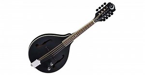 5 Best Electric Mandolins For Beginners 2026 - Music Industry How To
