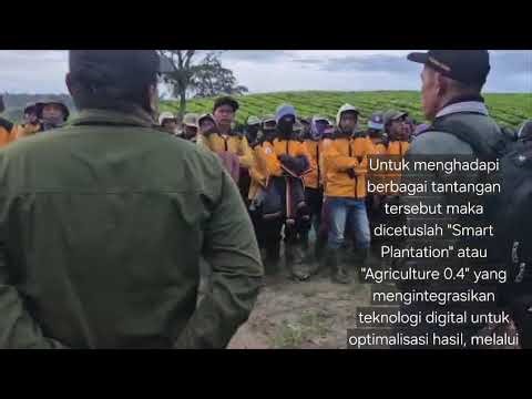 GO DIGI Implementasi IoT dan AI di Bidang Pertanian