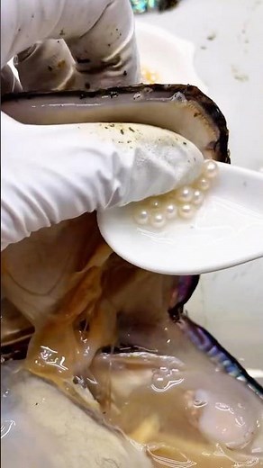 How are freshwater pearls mussel formed in shells? how to make perler bead necklace #jewellery